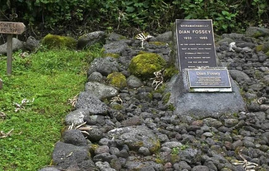 1 Day Dian Fossey Tomb Hike