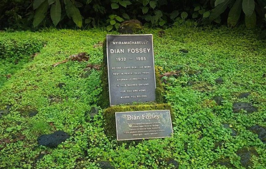 1 Day Dian Fossey Tomb Hike