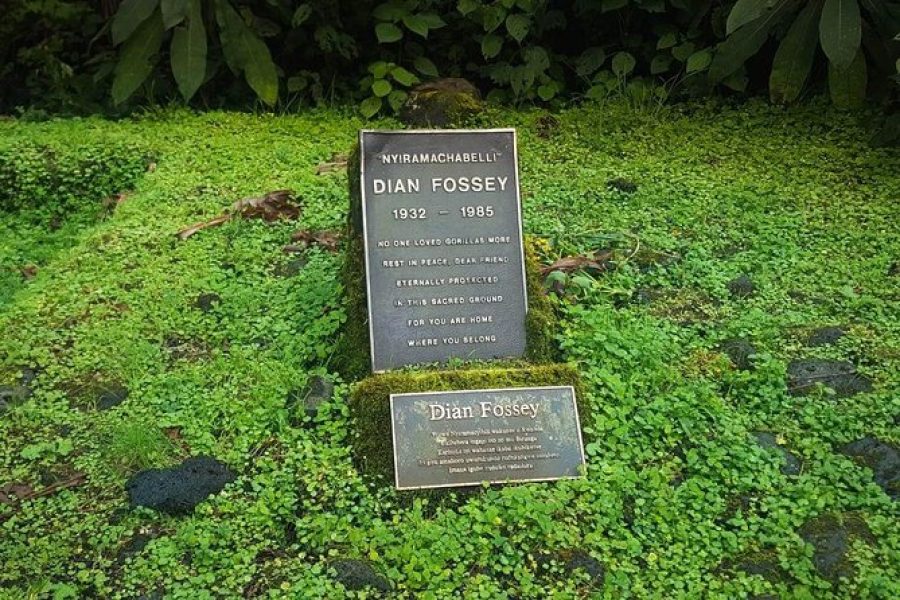 1 Day Dian Fossey Tomb Hike