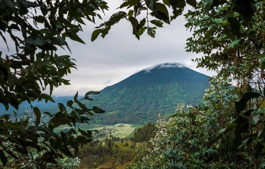 1 Day Dian Fossey Tomb Hike