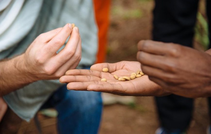 Women-led Coffee Farm Trek