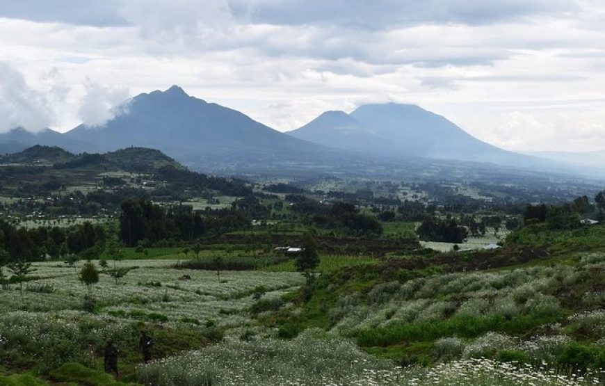 1 Day Dian Fossey Tomb Hike