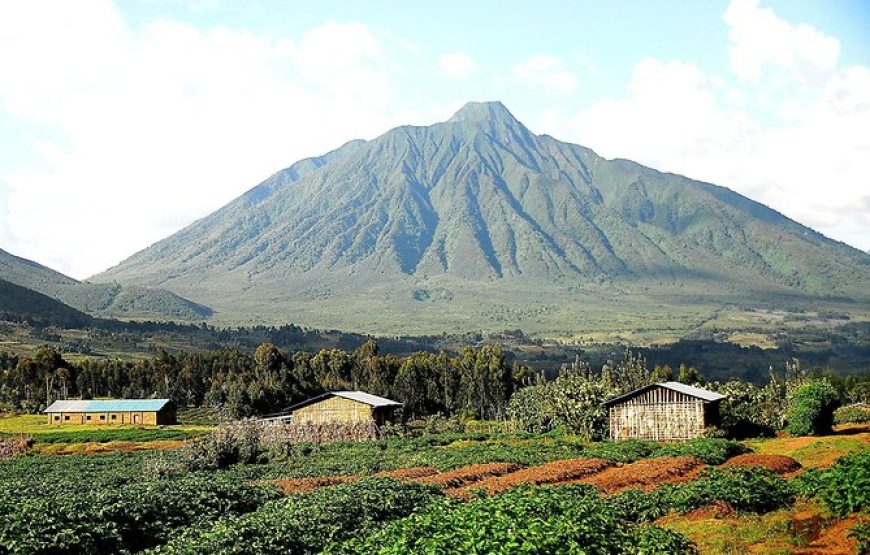 1 Day Dian Fossey Tomb Hike