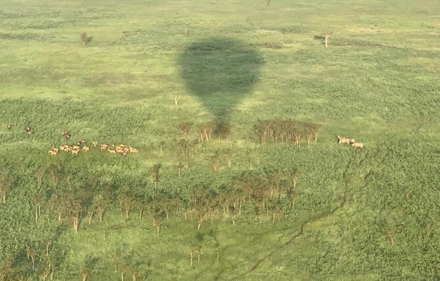 Hot Air Balloon Flight at Akagera National Park